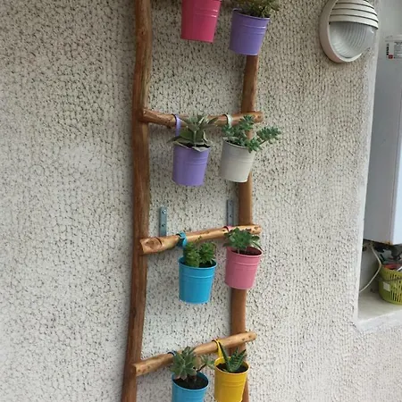 Apartment Il Cipresso *