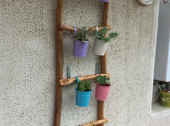 Appartamento Il Cipresso *