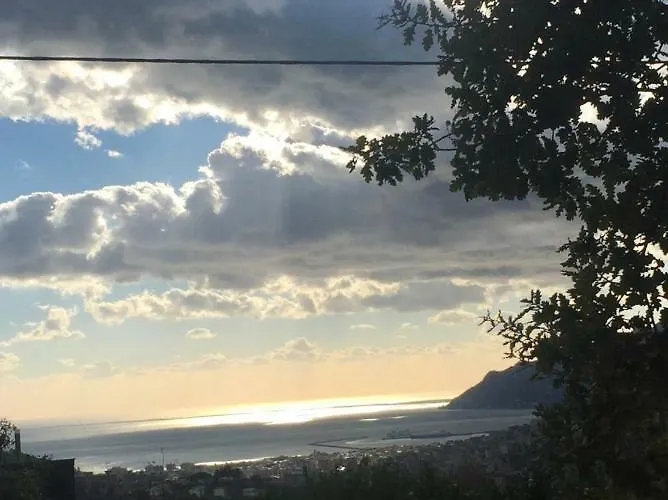 Il Cipresso