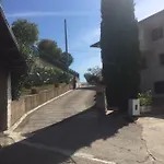 Il Cipresso *